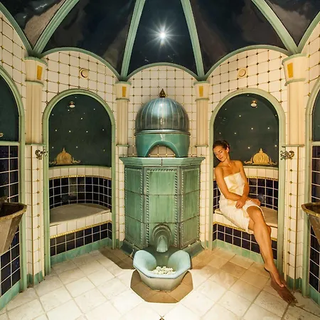 Hotel Alter Meierhof 5*